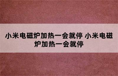 小米电磁炉加热一会就停 小米电磁炉加热一会就停